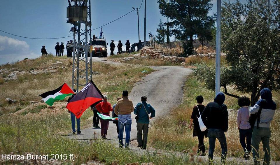 11020229_1009847462373772_5375645694656852513_n